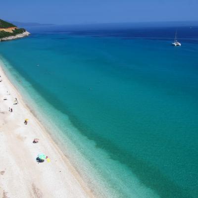 Skala 1